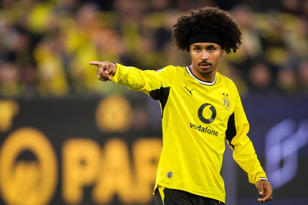 Karim Adeyemi, Borussia Dortmund player