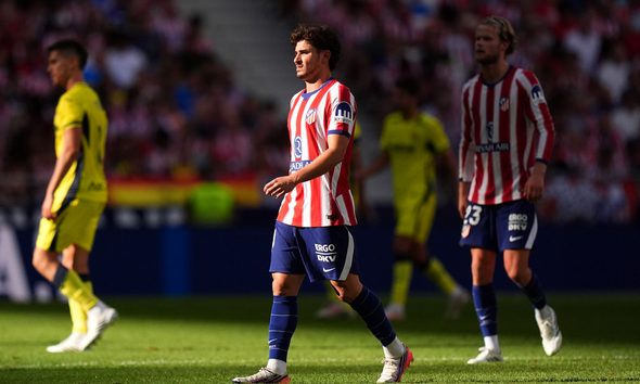 Julian Alvarez, Atletico Madrid player