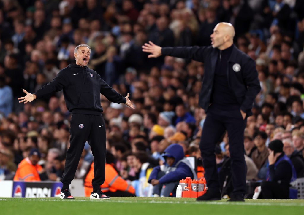 Luis Enrique PSG manager